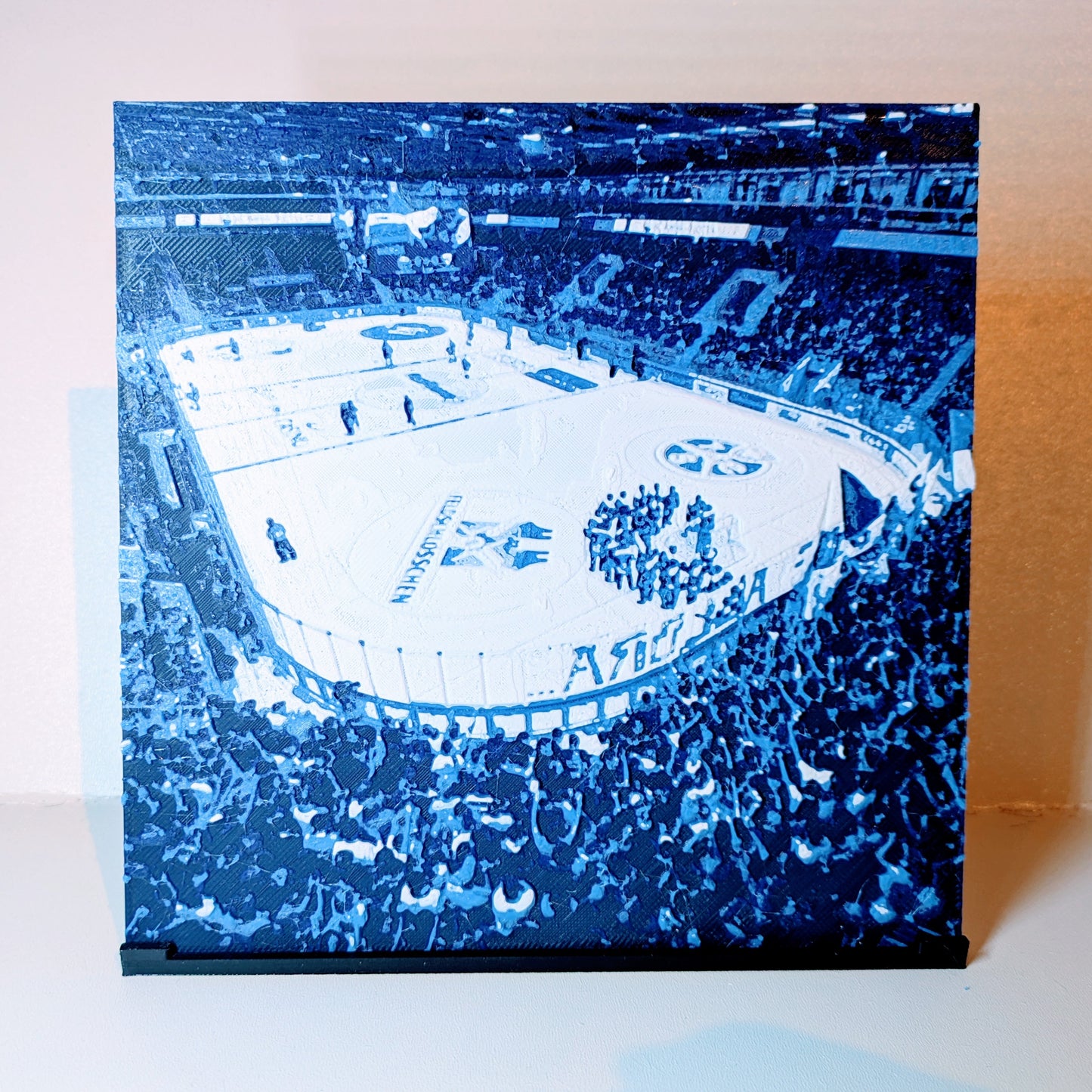 Ritratto 3D - HCAP Gottardo Arena