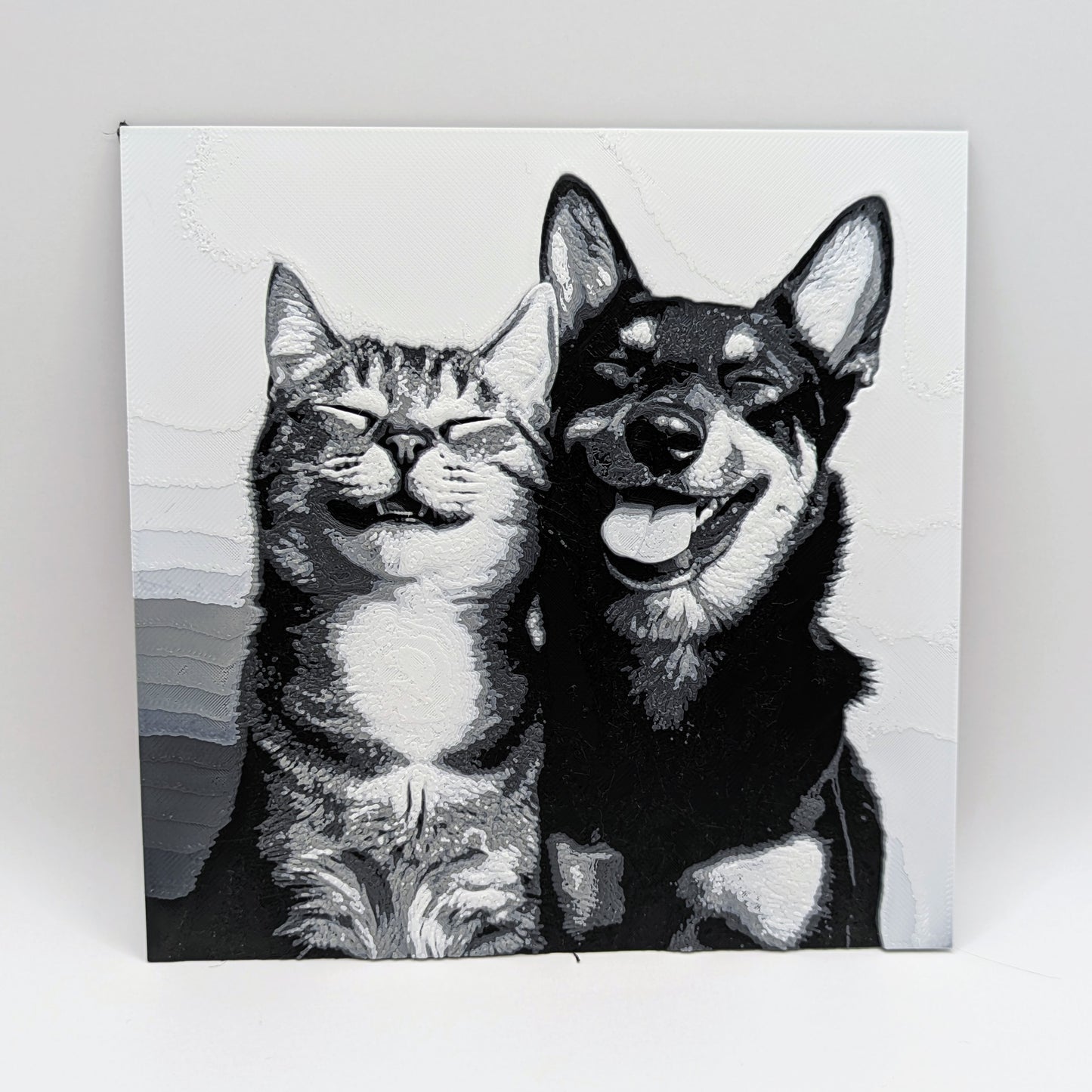 Ritratto 3D - Cane e gatto