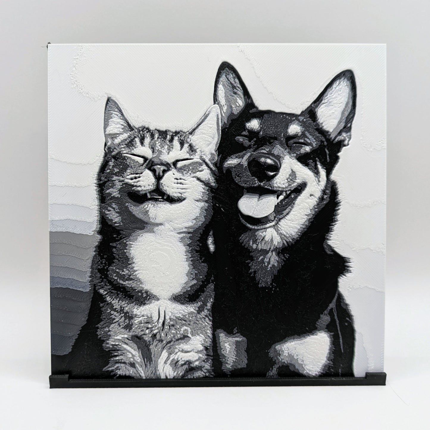 Ritratto 3D - Cane e gatto