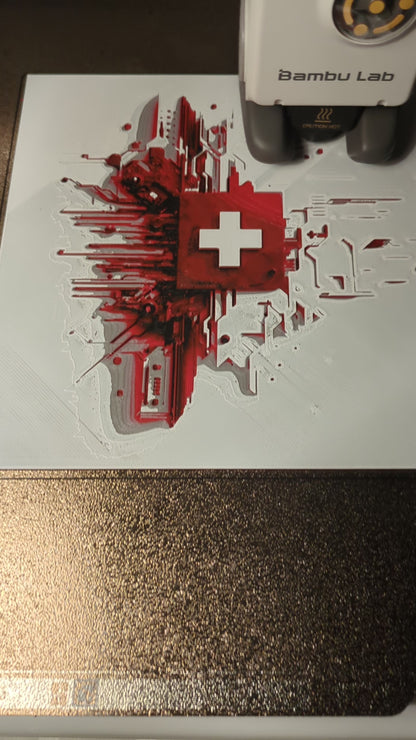 3D Portrait - Swiss Pulse